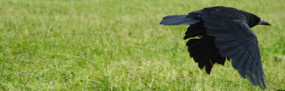 Natuurgidsen Provincie Antwerpen